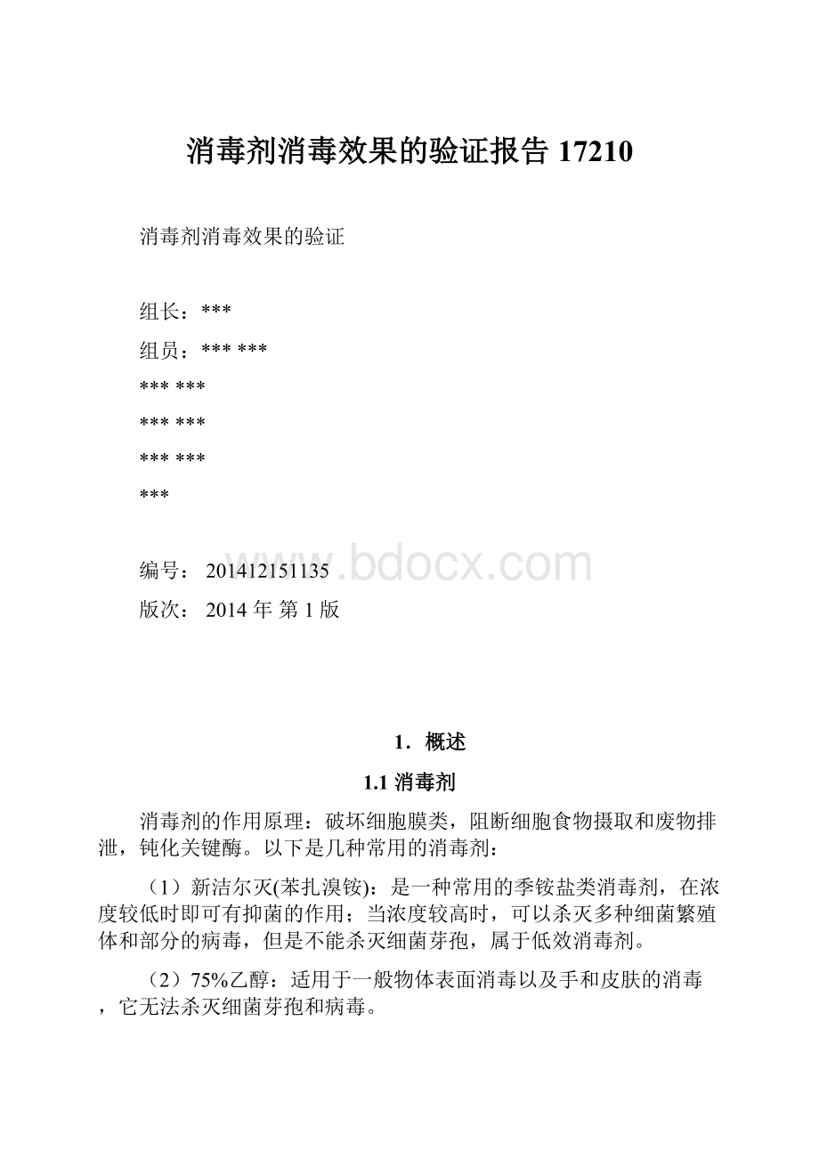 消毒剂消毒效果的验证报告17210Word下载.docx