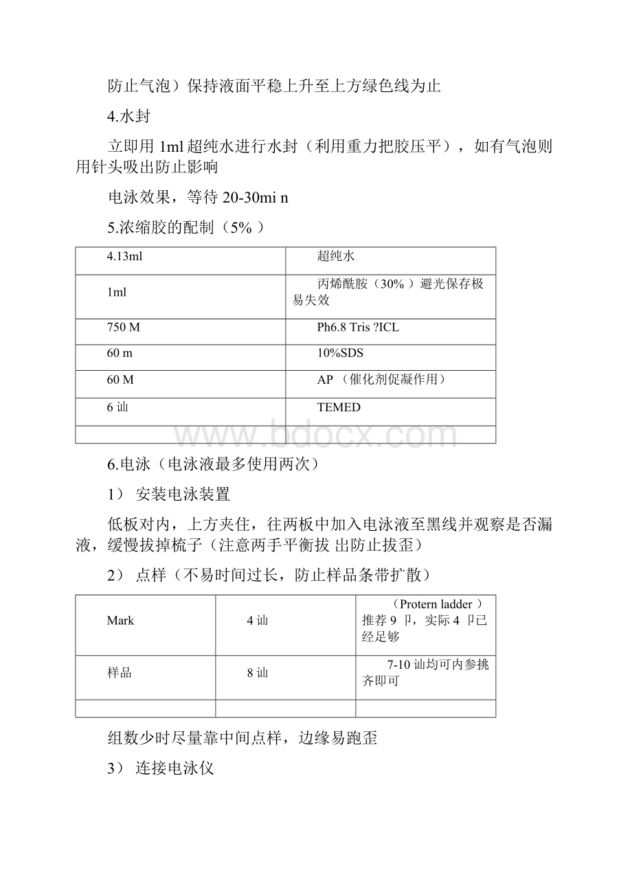 WB实验步骤详细总结.docx_第3页