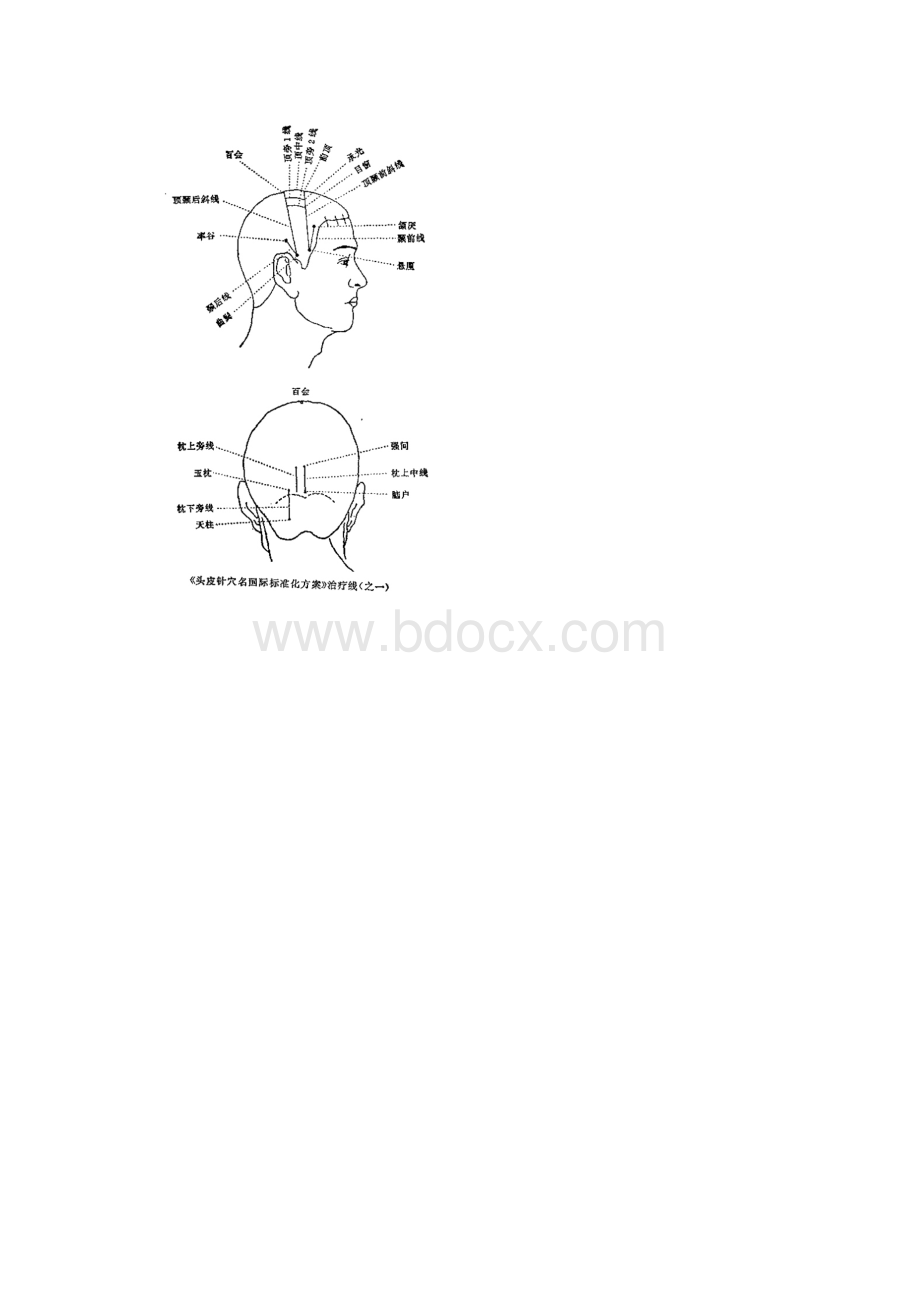 头皮标准分区和头部腧穴Word格式.docx_第2页