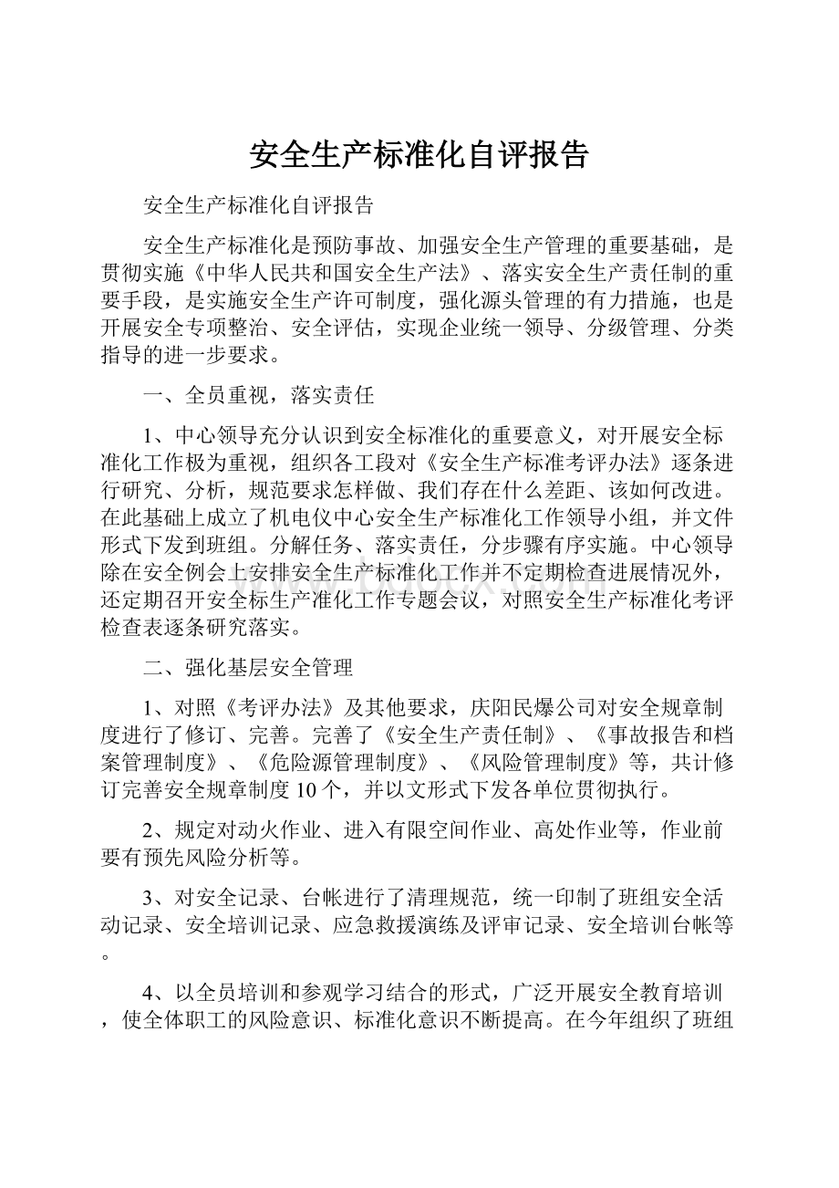 安全生产标准化自评报告文档格式.docx