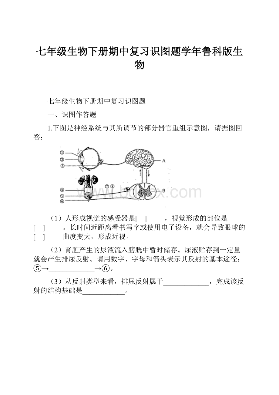 七年级生物下册期中复习识图题学年鲁科版生物.docx