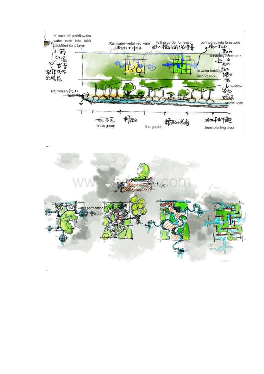 马克笔手绘景观及树木搭配.docx_第2页