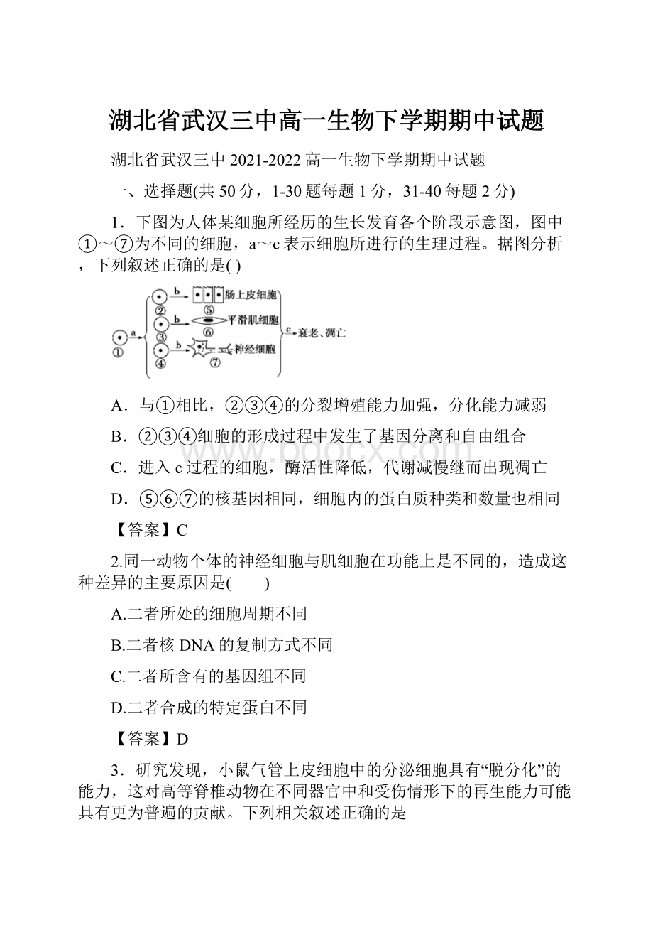 湖北省武汉三中高一生物下学期期中试题Word文档格式.docx_第1页