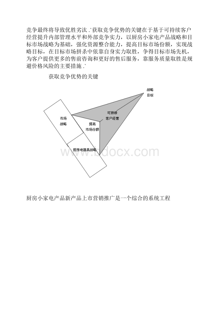 XX厨房小家电新产品上市营销推广策划方案新编审定.docx_第2页