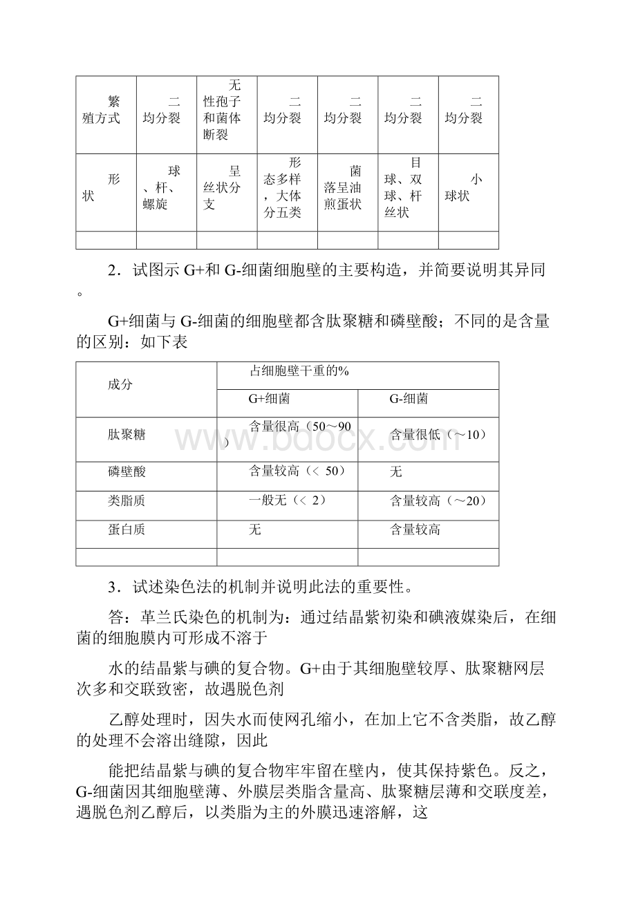 微生物考试总结重点Word格式文档下载.docx_第2页