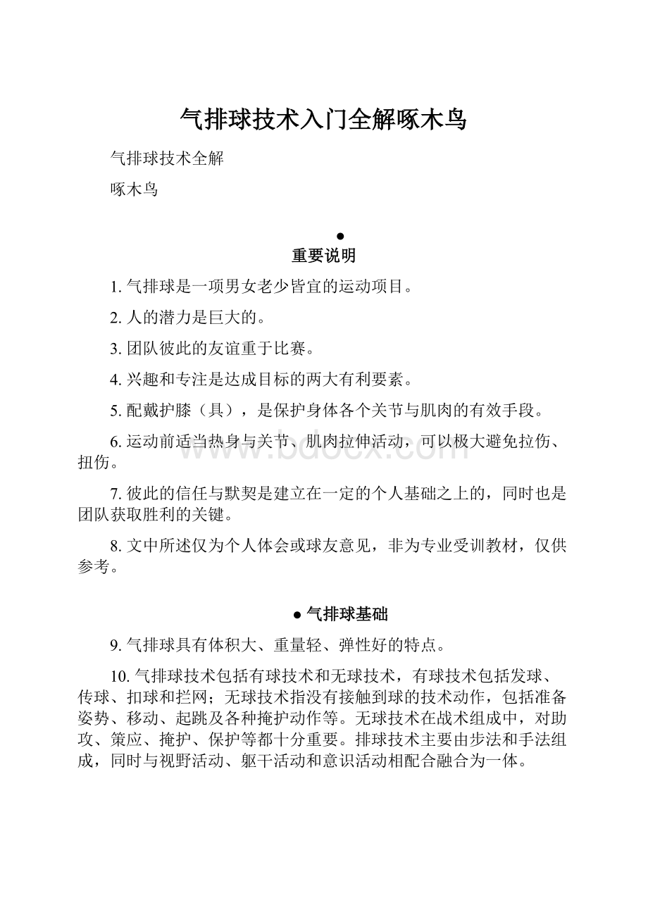 气排球技术入门全解啄木鸟.docx