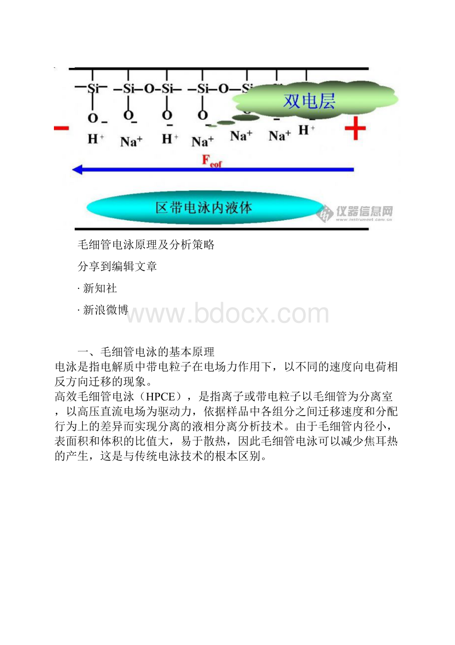 毛细管电泳Word下载.docx_第3页