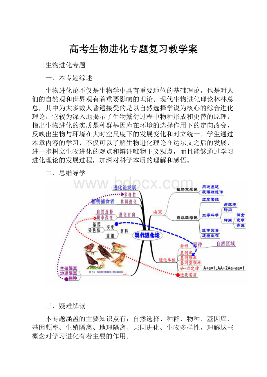 高考生物进化专题复习教学案Word文档下载推荐.docx