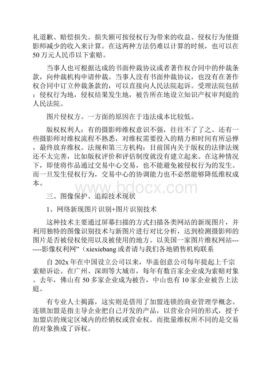 《数字版权维权状况调研报告》.docx_第2页