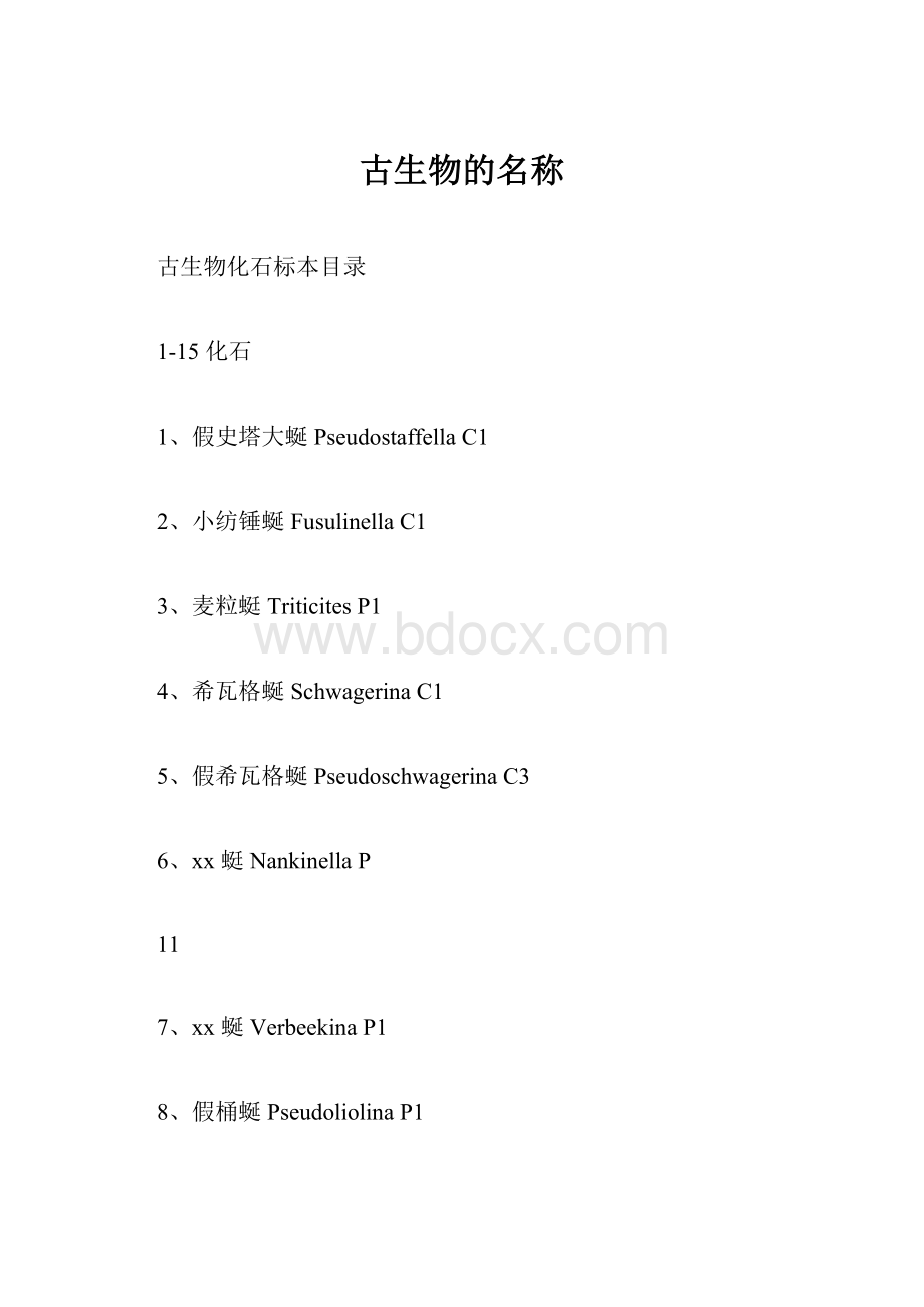 古生物的名称Word文档下载推荐.docx_第1页