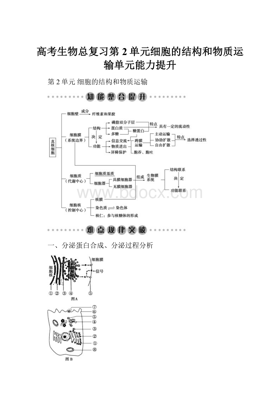 高考生物总复习第2单元细胞的结构和物质运输单元能力提升.docx