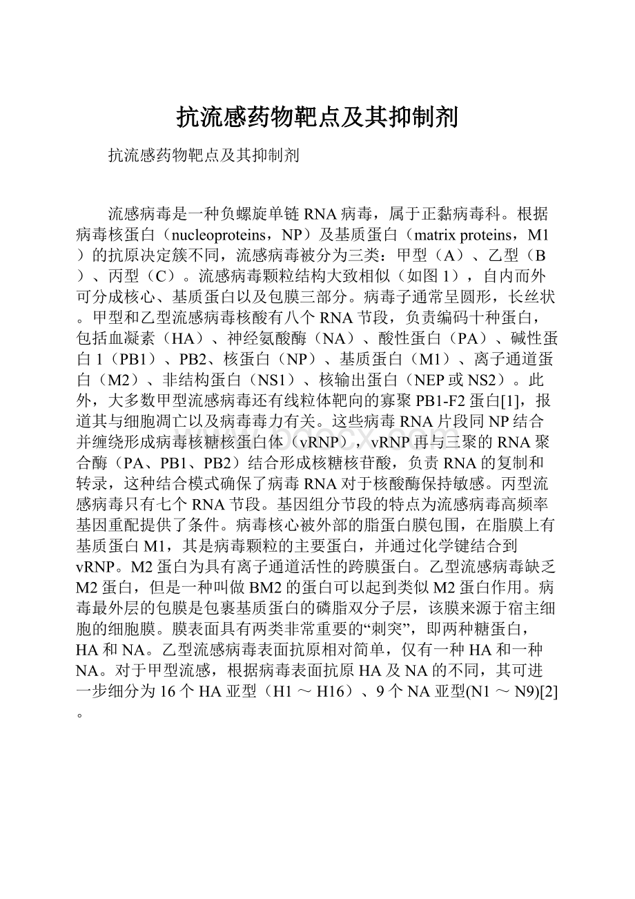 抗流感药物靶点及其抑制剂Word下载.docx_第1页