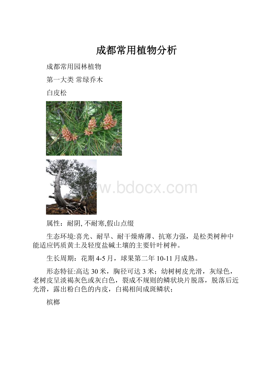 成都常用植物分析Word文件下载.docx_第1页