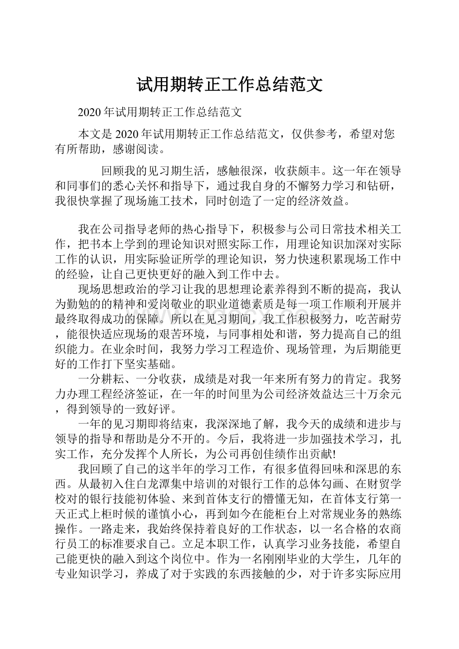 试用期转正工作总结范文Word下载.docx