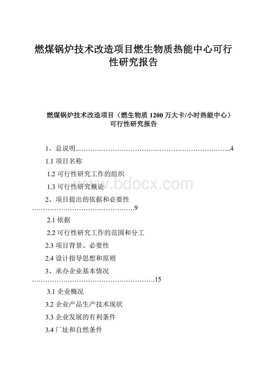 燃煤锅炉技术改造项目燃生物质热能中心可行性研究报告Word格式文档下载.docx