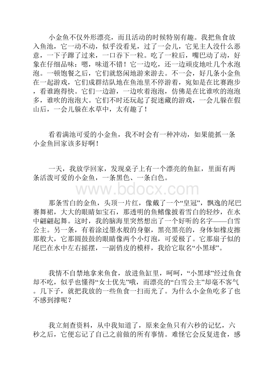 可爱的小金鱼小学作文范文精选8篇文档格式.docx_第3页