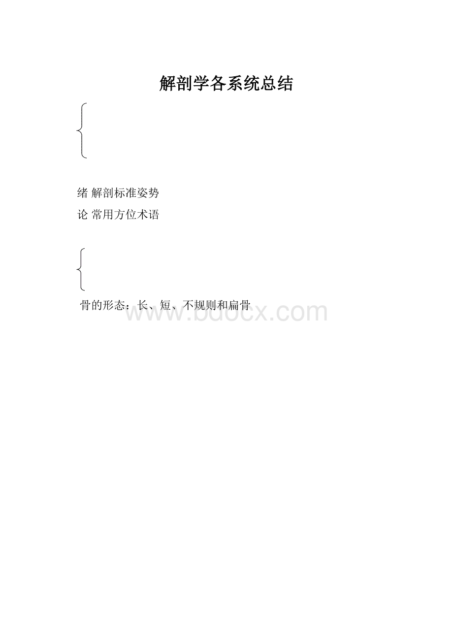 解剖学各系统总结.docx