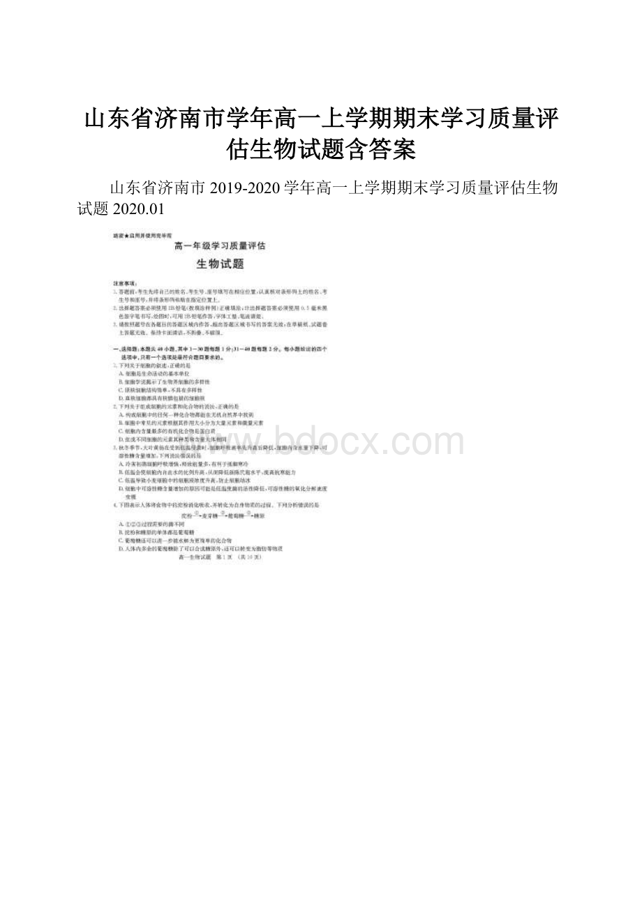 山东省济南市学年高一上学期期末学习质量评估生物试题含答案.docx_第1页