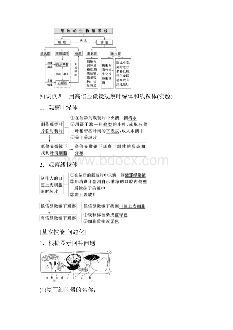 版高考生物一轮复习 第二单元 细胞的结构与物质的输入和输出 第二讲 细胞器系统内的分工合Word文件下载.docx_第3页