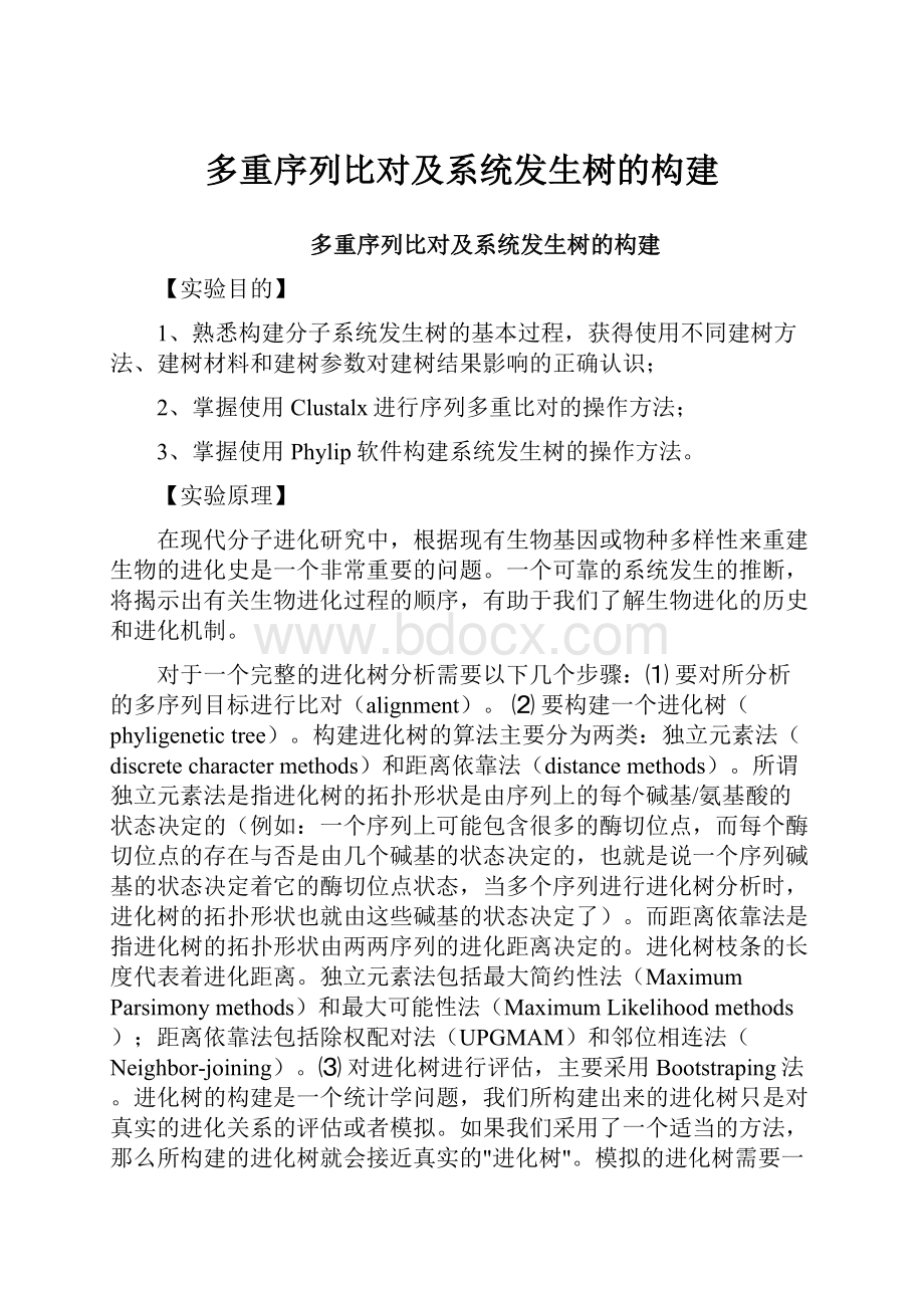 多重序列比对及系统发生树的构建.docx