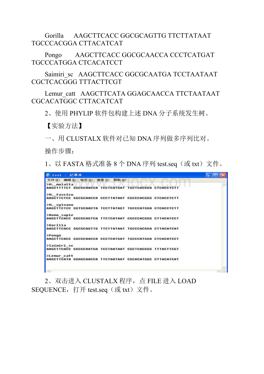 多重序列比对及系统发生树的构建.docx_第3页