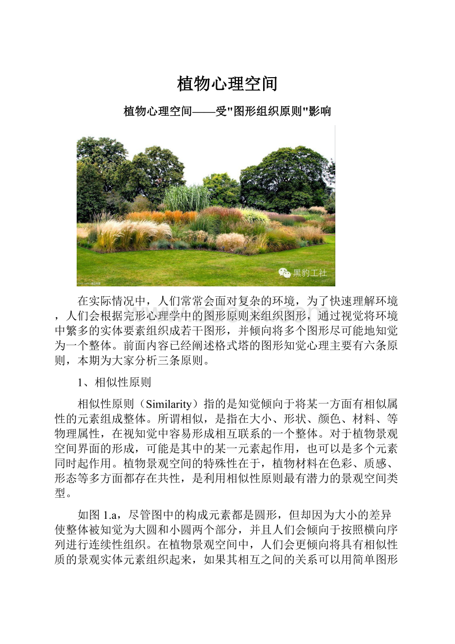 植物心理空间.docx