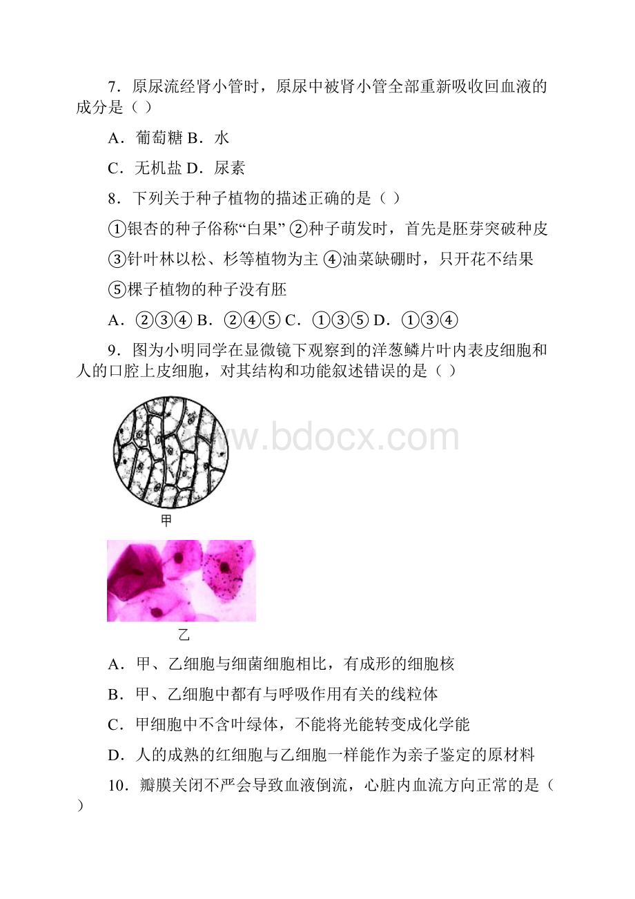 初中生物真题分类汇编综合试题及答案.docx_第3页