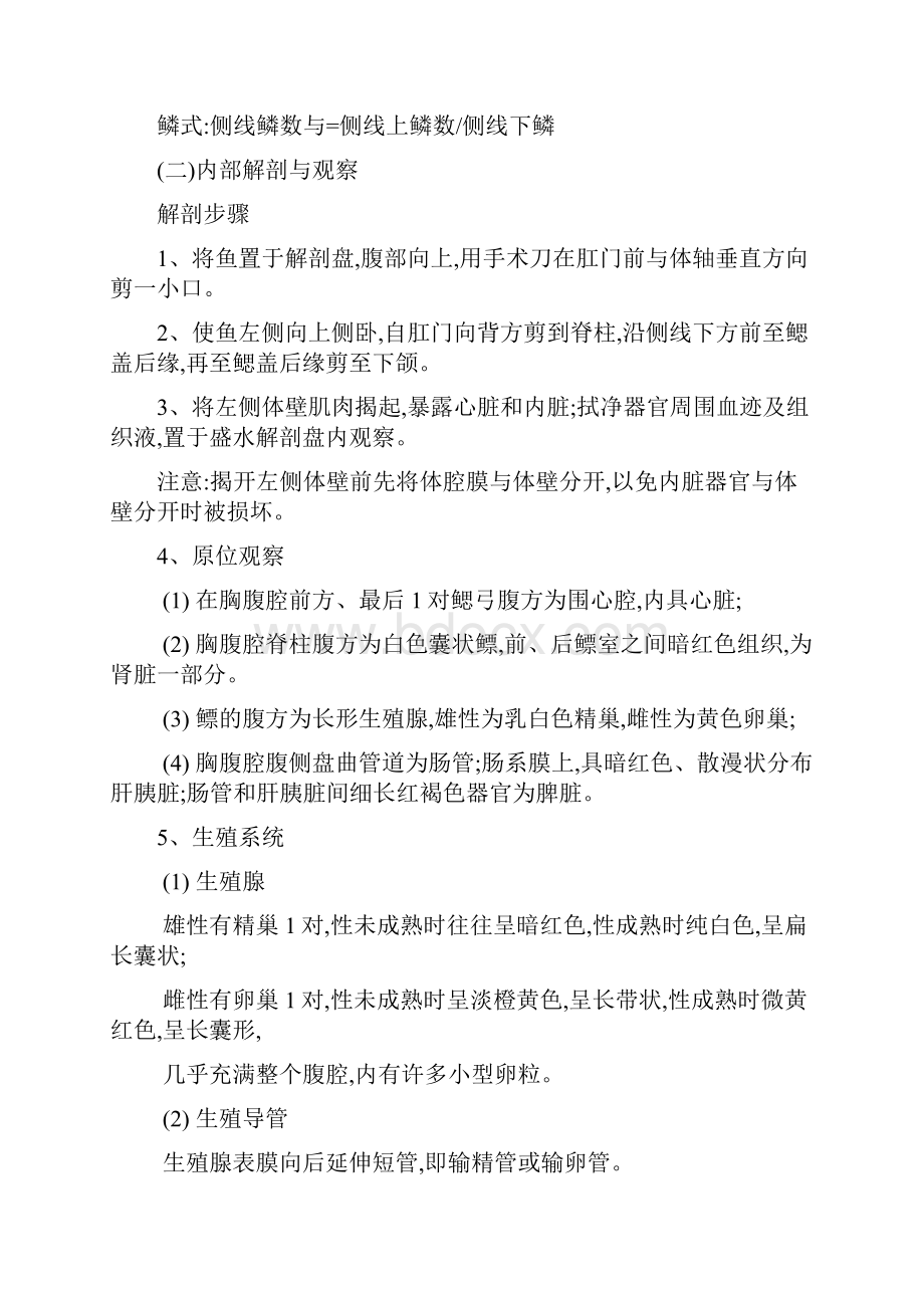 鱼类解剖实验报告.docx_第3页