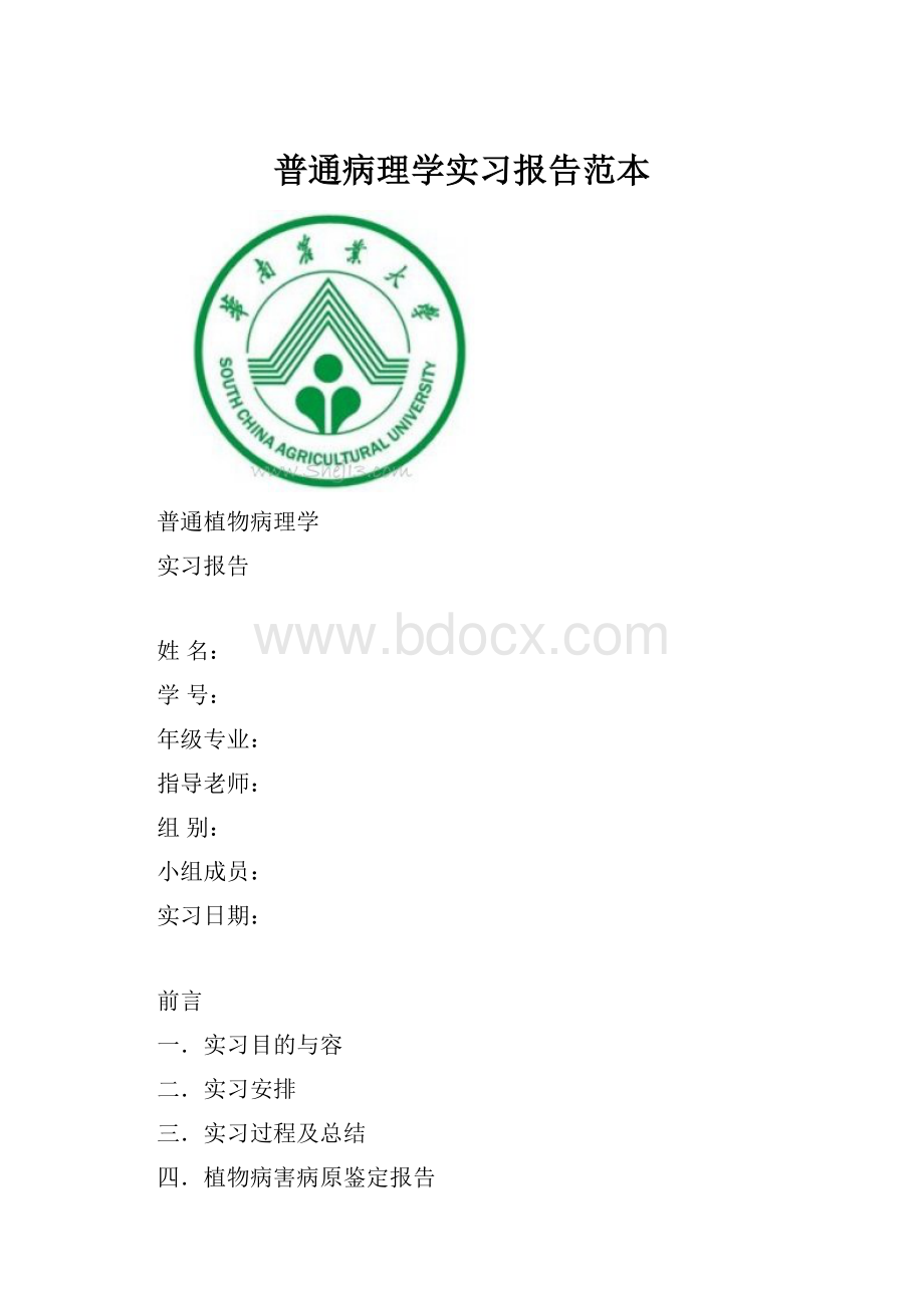 普通病理学实习报告范本.docx