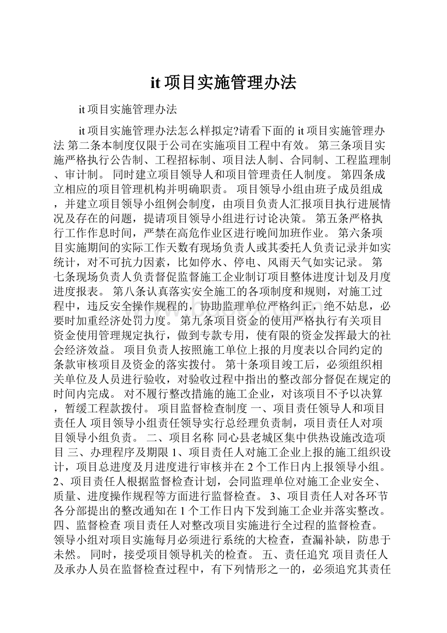 it项目实施管理办法.docx_第1页