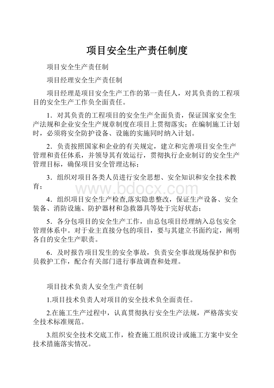 项目安全生产责任制度Word格式文档下载.docx