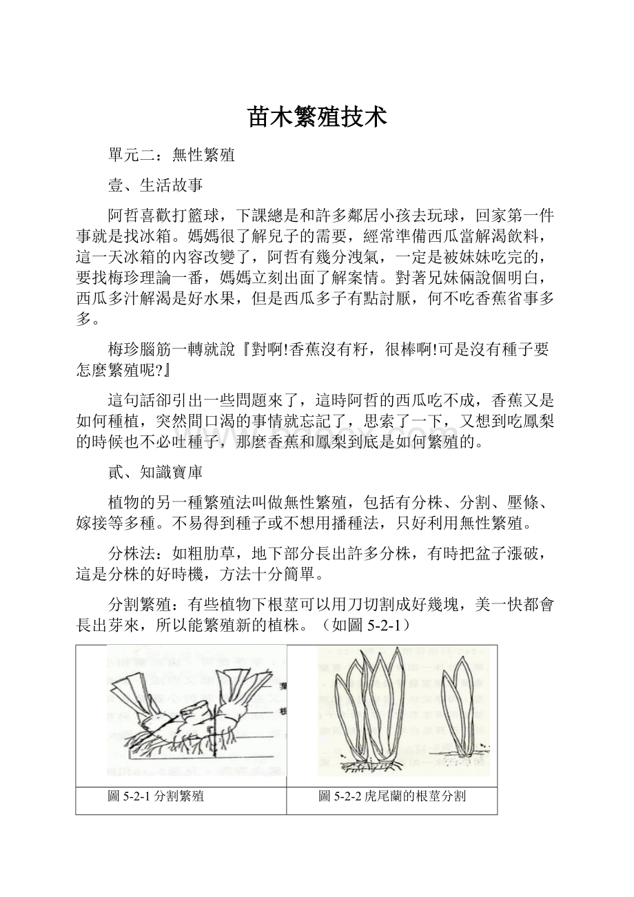 苗木繁殖技术Word文件下载.docx