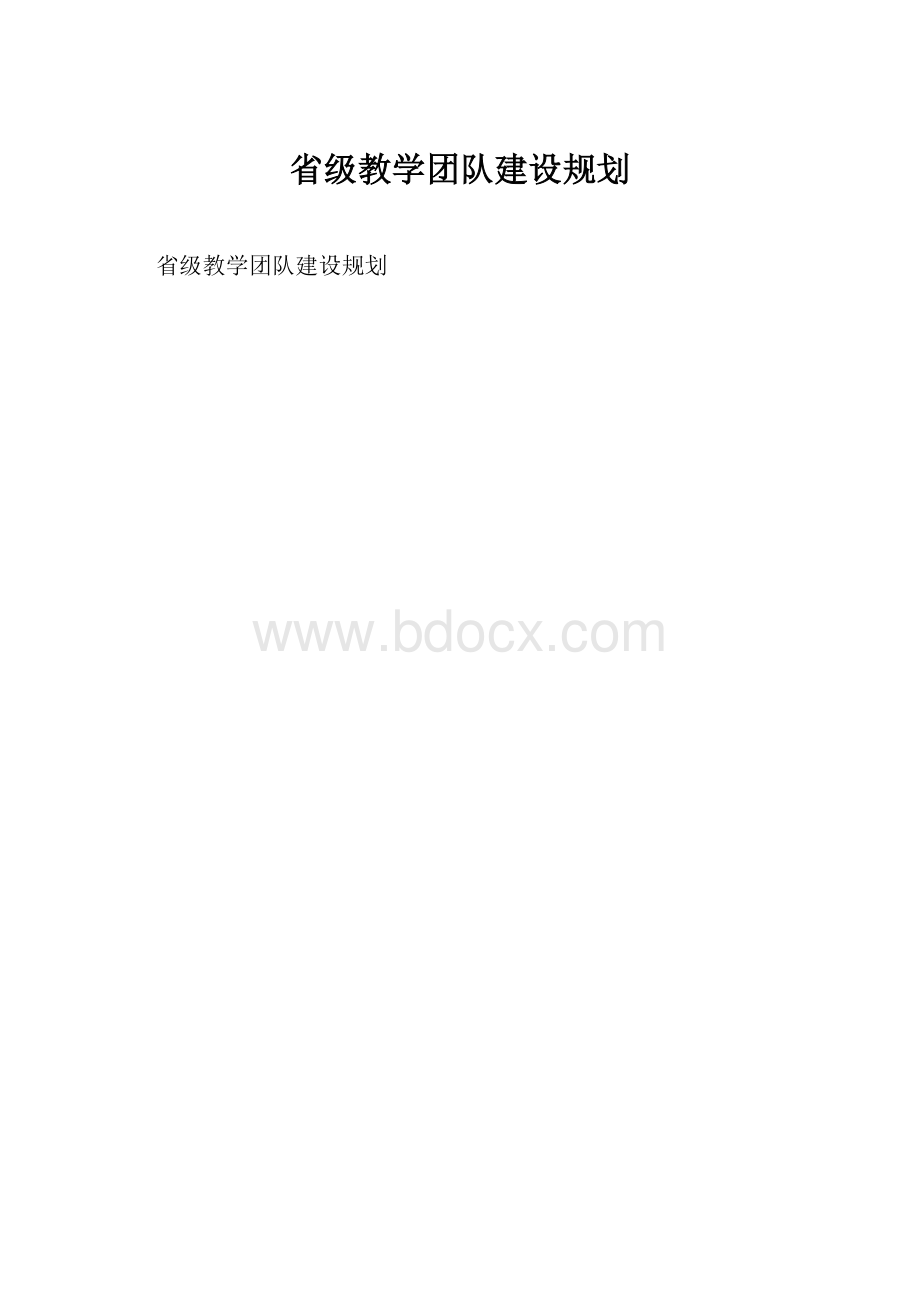 省级教学团队建设规划.docx