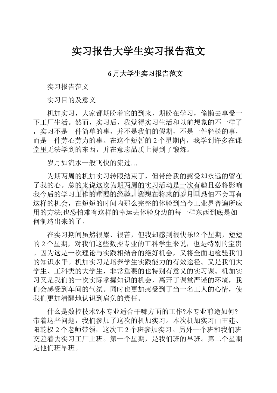 实习报告大学生实习报告范文Word下载.docx