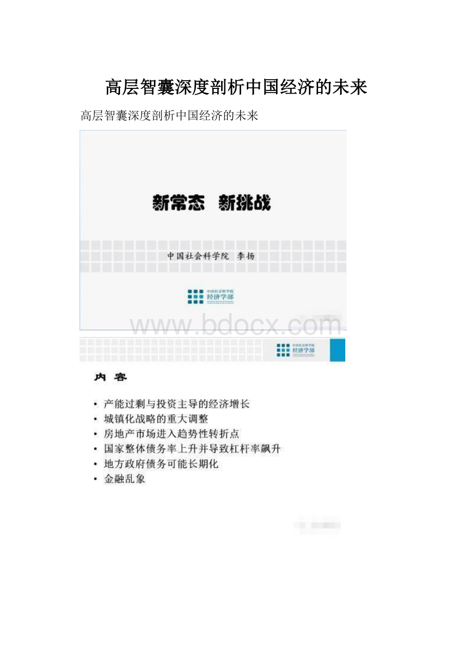 高层智囊深度剖析中国经济的未来Word格式.docx_第1页