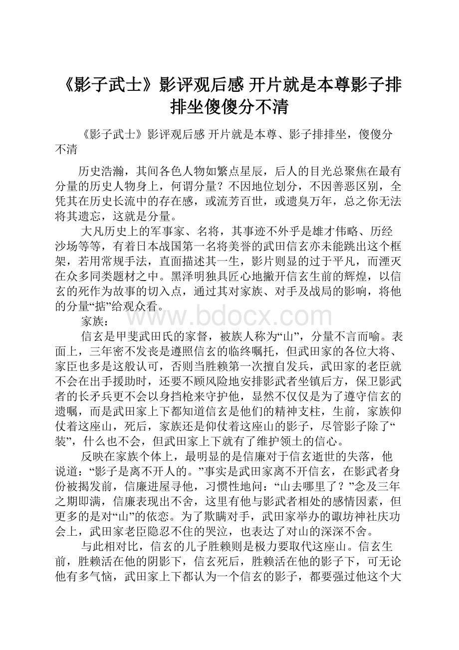 《影子武士》影评观后感 开片就是本尊影子排排坐傻傻分不清.docx_第1页