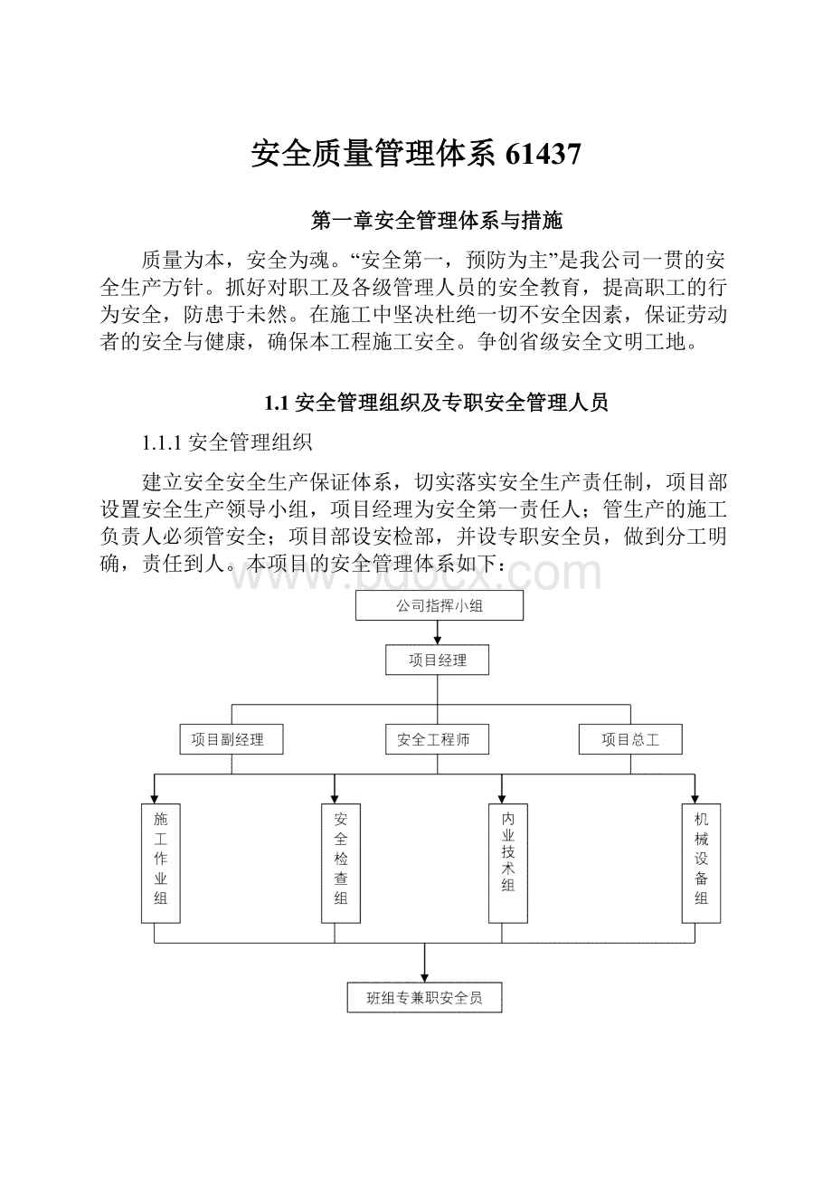 安全质量管理体系61437.docx