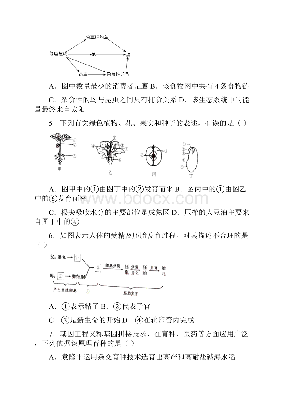 人教版初中生物中考生物试题 6Word文档格式.docx_第2页