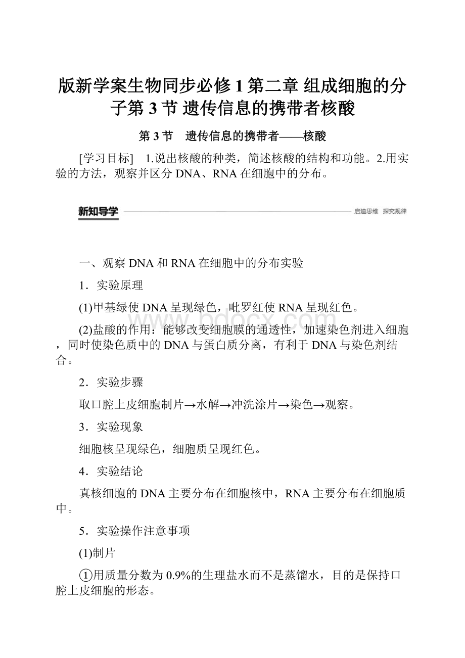 版新学案生物同步必修1第二章 组成细胞的分子第3节 遗传信息的携带者核酸.docx_第1页