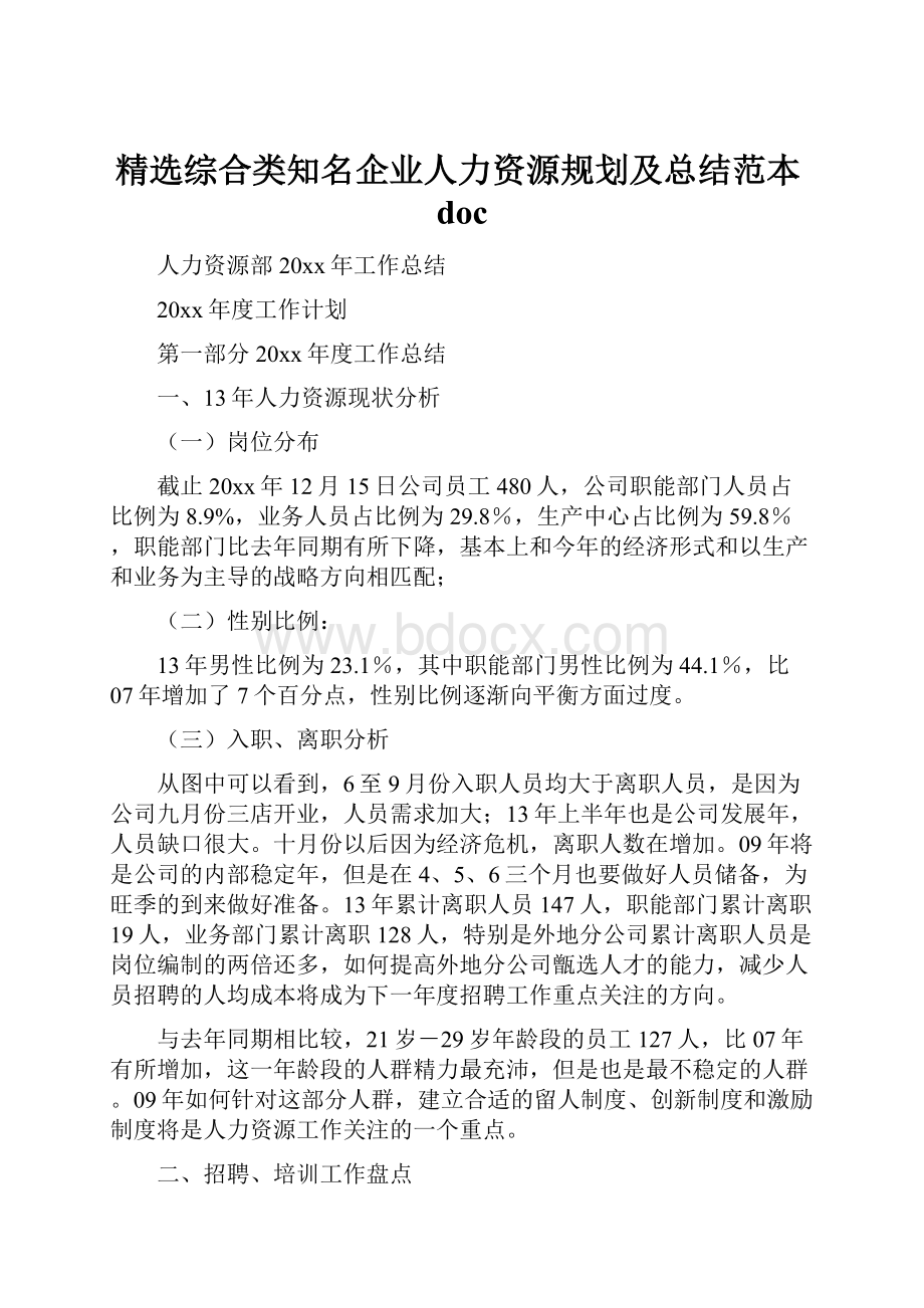 精选综合类知名企业人力资源规划及总结范本docWord格式.docx