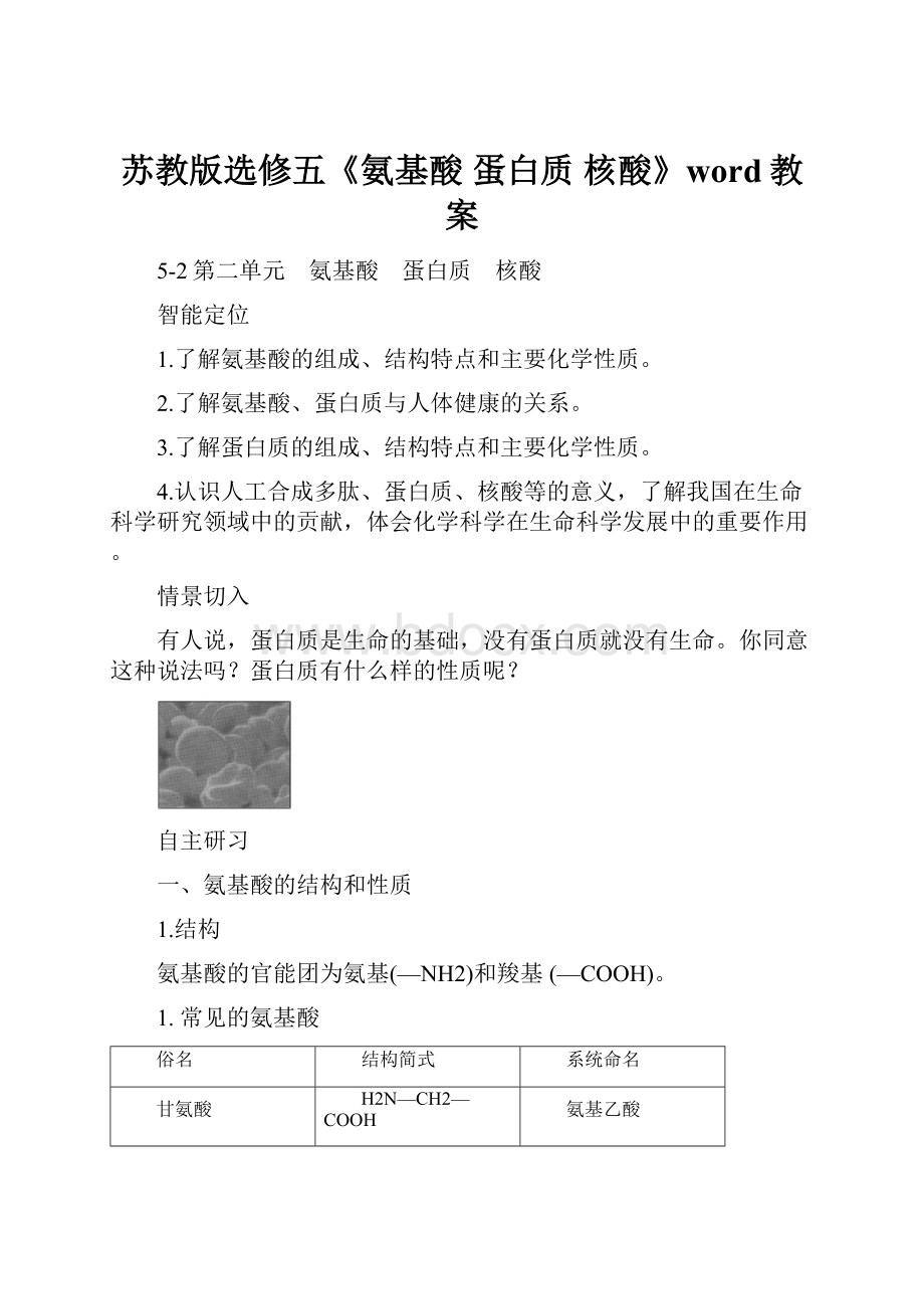 苏教版选修五《氨基酸 蛋白质 核酸》word教案.docx_第1页