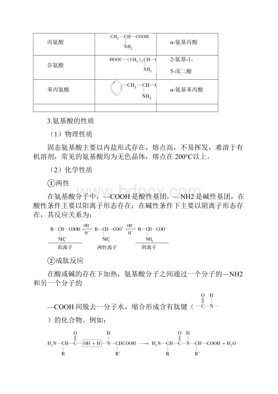 苏教版选修五《氨基酸 蛋白质 核酸》word教案.docx_第2页