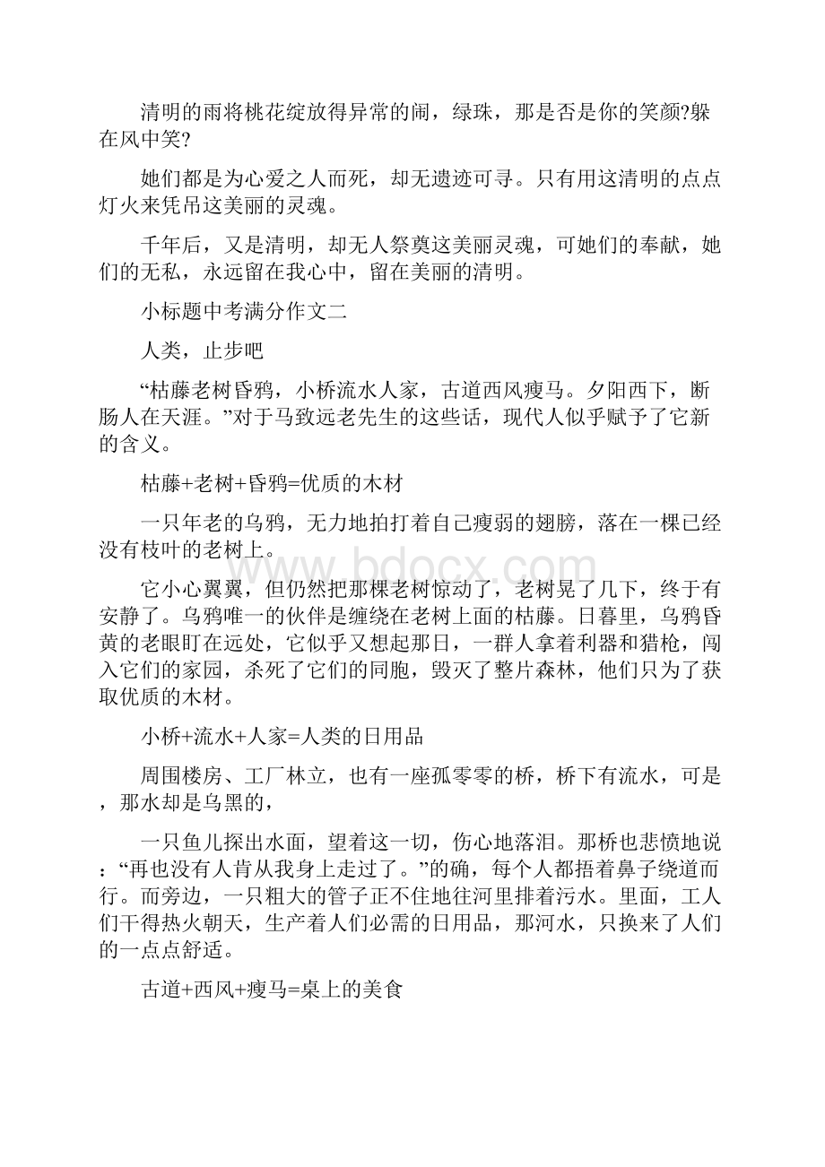 小标题中考满分作文十篇.docx_第2页