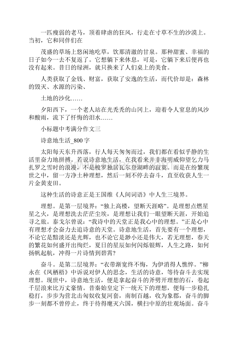 小标题中考满分作文十篇.docx_第3页