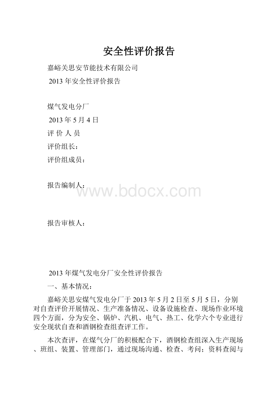 安全性评价报告文档格式.docx