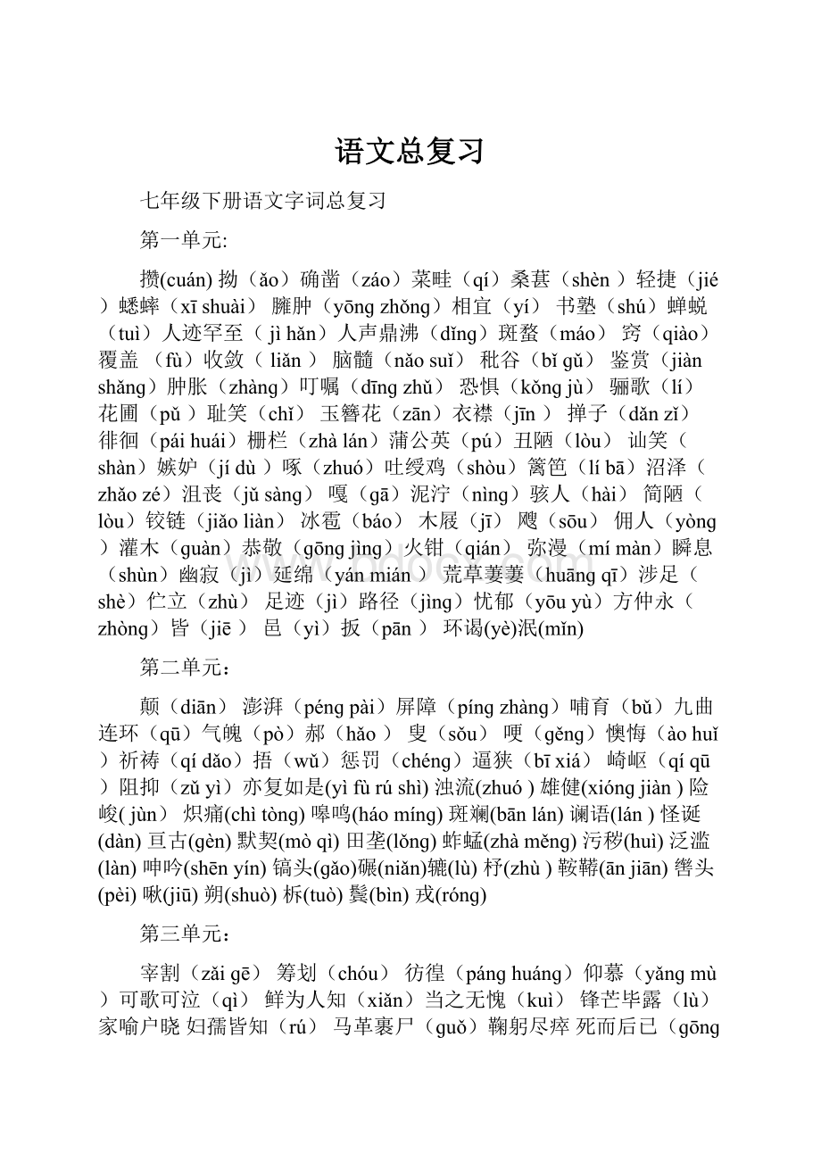 语文总复习Word文档格式.docx_第1页