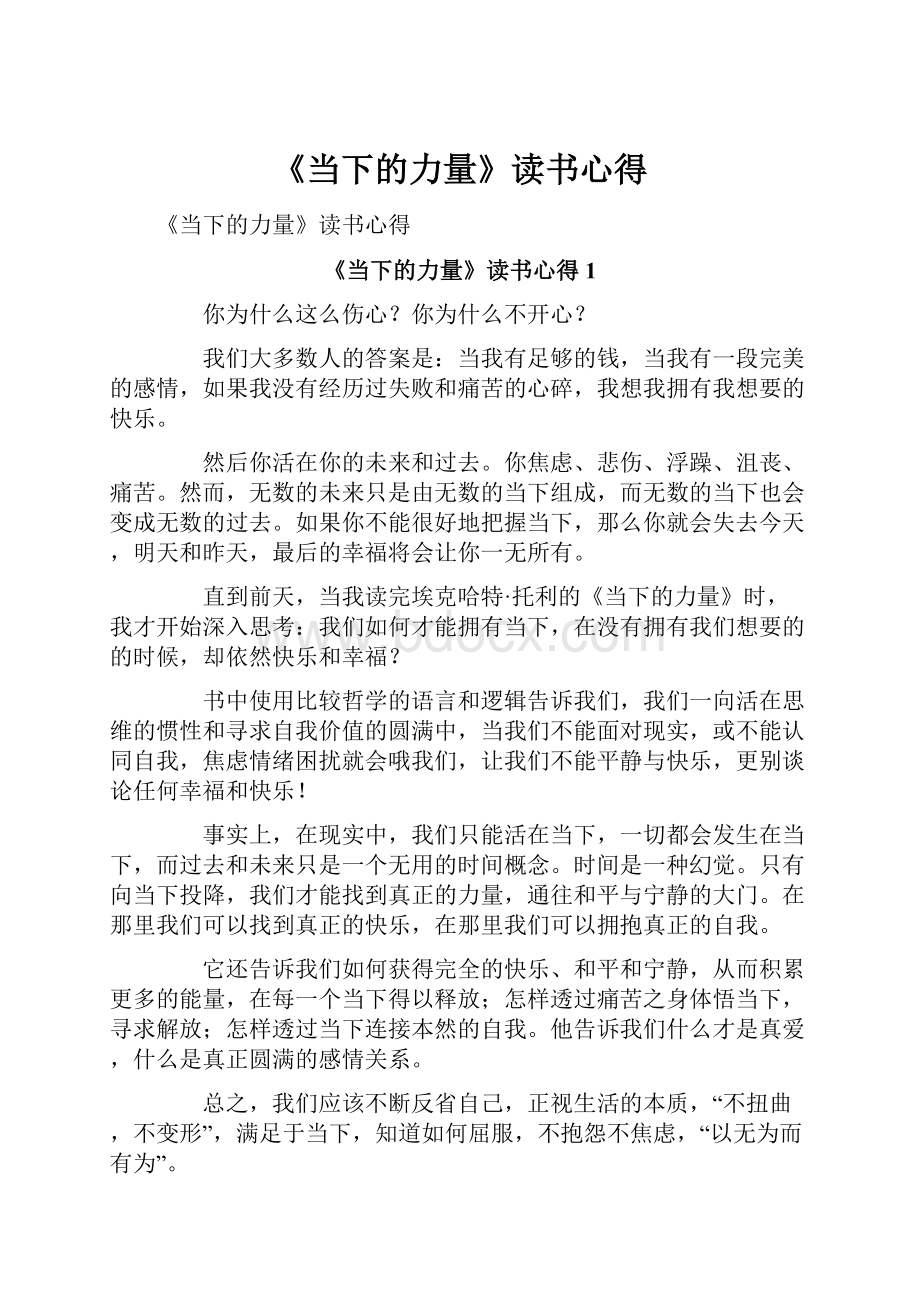 《当下的力量》读书心得Word格式文档下载.docx