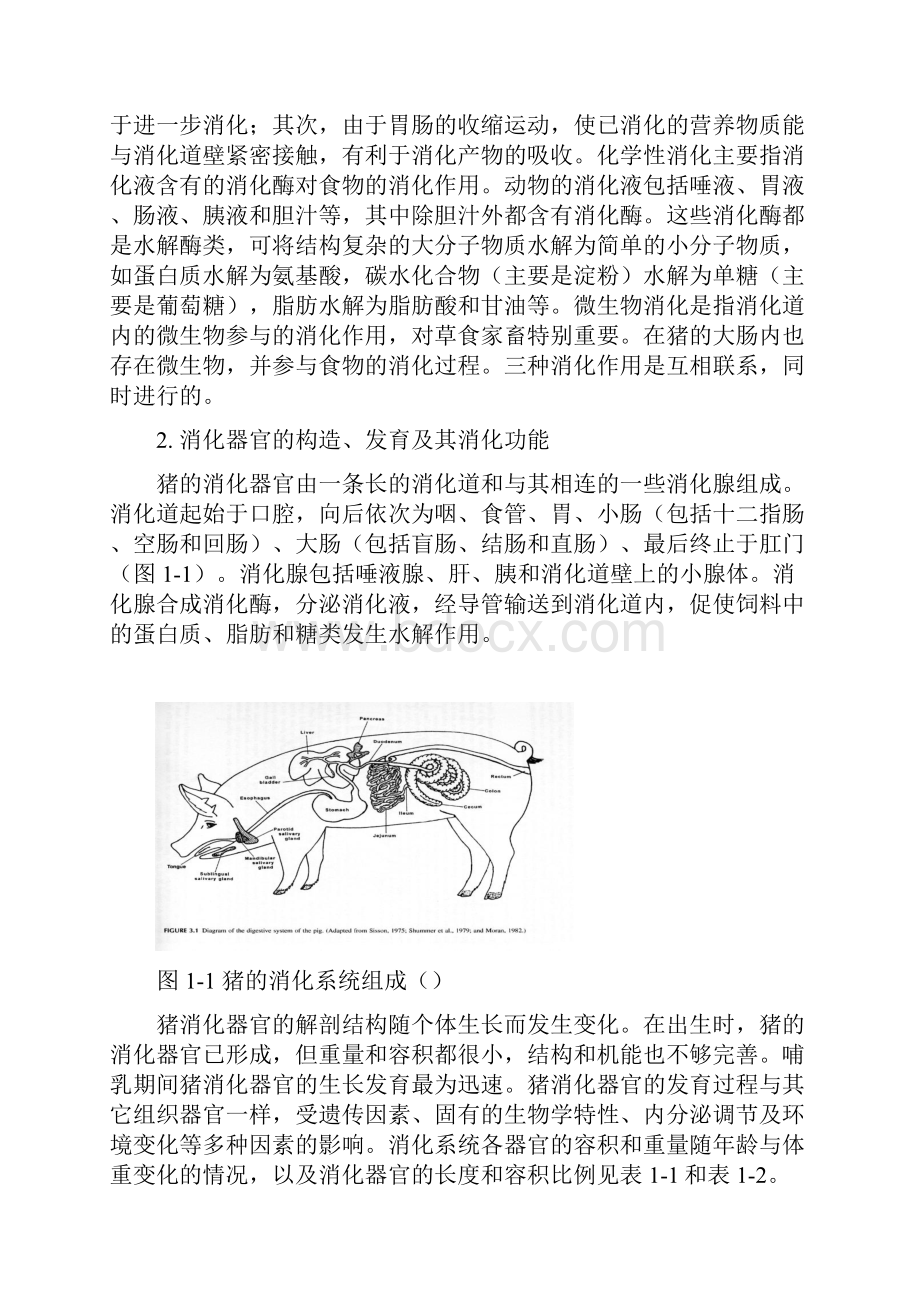 猪的消化生理.docx_第3页