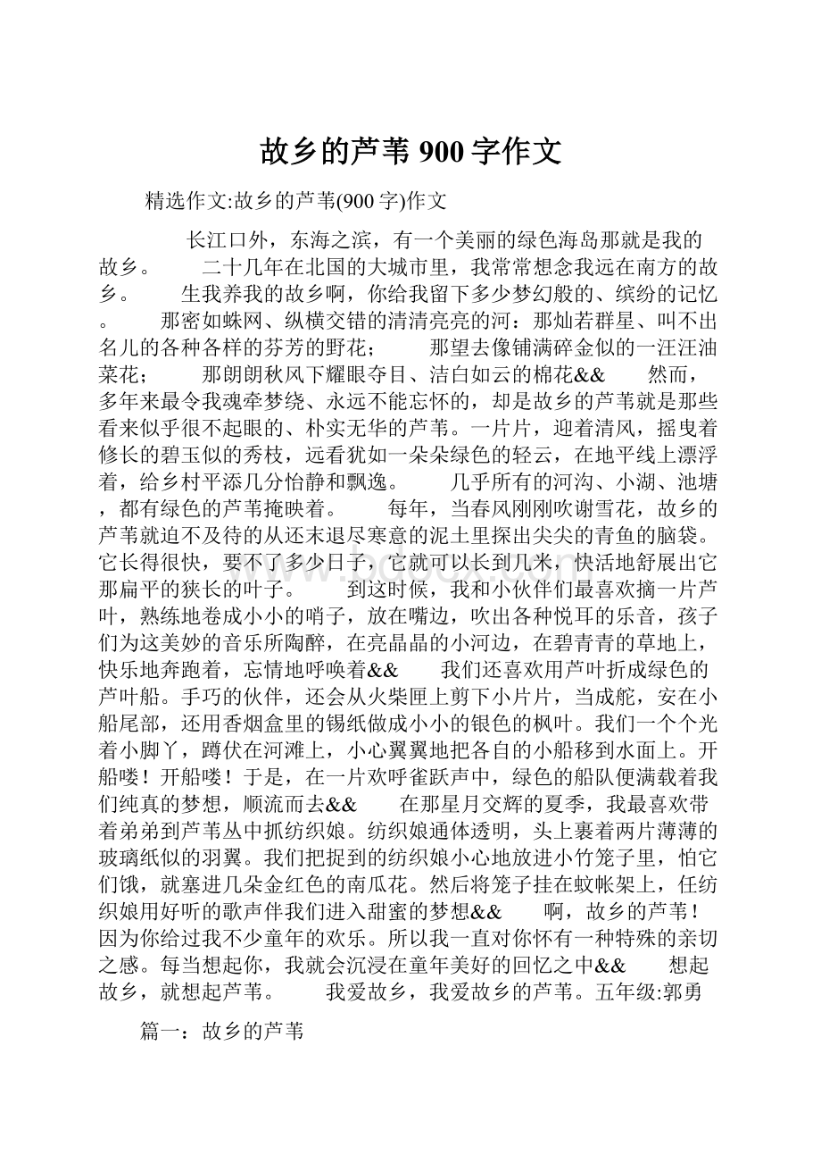 故乡的芦苇900字作文.docx_第1页