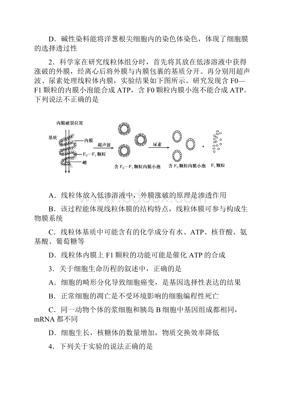 青岛二模 山东省青岛市届高三下学期第二次模拟考试理科综合试题 Word版含答案Word文件下载.docx_第2页